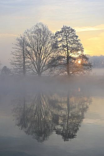 Nieuwjaarsochtend 2020