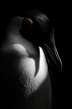 Pinguïn van Poster Art Shop