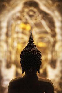 Les yeux dans les yeux avec Bouddha