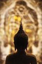 Oog in oog met Boeddha van Thomas Herzog thumbnail