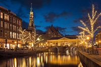 Glossy Leiden