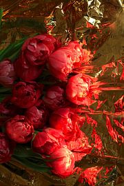 Filled tulips by Thomas Jäger