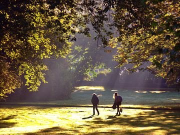Jeu d'ombres sur un matin d'automne