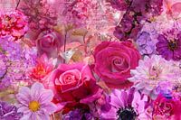 Alles Pink!