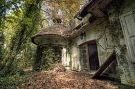 Urbex - Begroeide villa van Angelique Brunas thumbnail