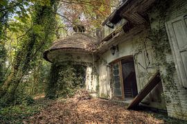 Urbex - Begroeide villa von Angelique Brunas