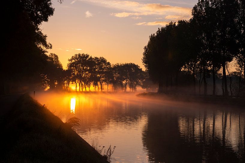 Sunrise by Trees Rommelaere