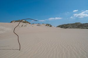 Kennemerduinen, Nord-Holland