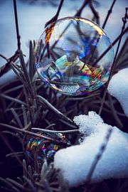 De winter komt eraan