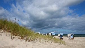 Plage de la mer Baltique