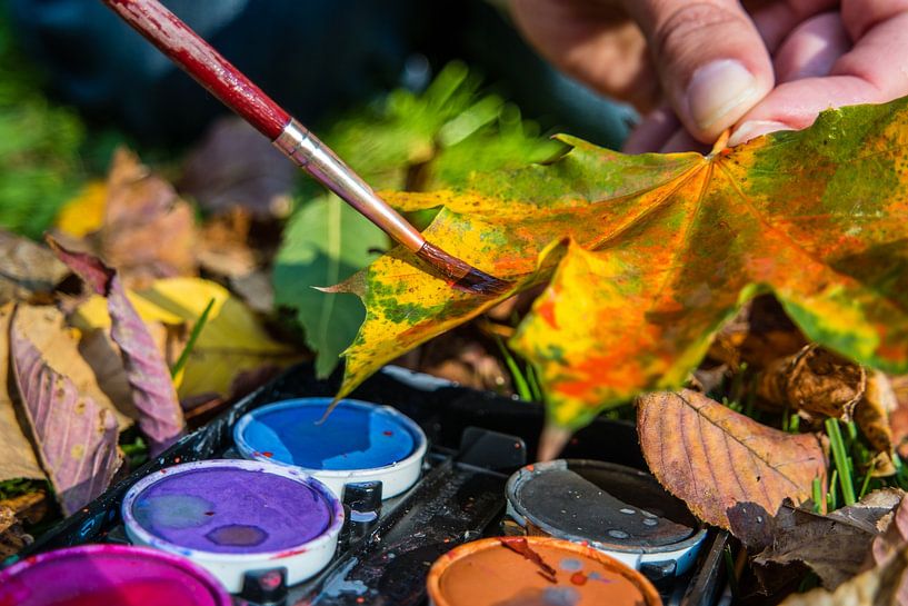Décoration d'automne avec des aquarelles et des feuilles par Animaflora PicsStock