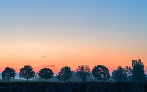 Thüringer weiden aan het begin van de dag, Eifel, Rijnland-Palts, Duitsland