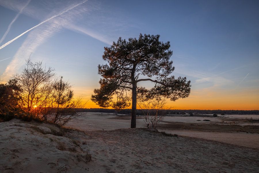Zonsondergang Duinen Loon op Zand van Zwoele Plaatjes op canvas, behang