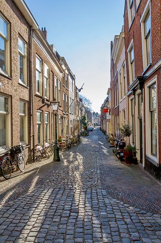 Leiden street in the sun