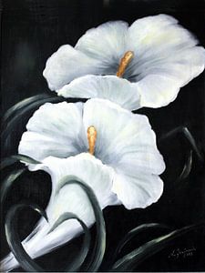 Weiße Calla - Blumenbild handgemalt von Marita Zacharias