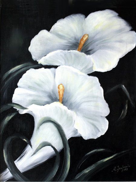 Blanche Calla - Fleurs peint à la main par Marita Zacharias