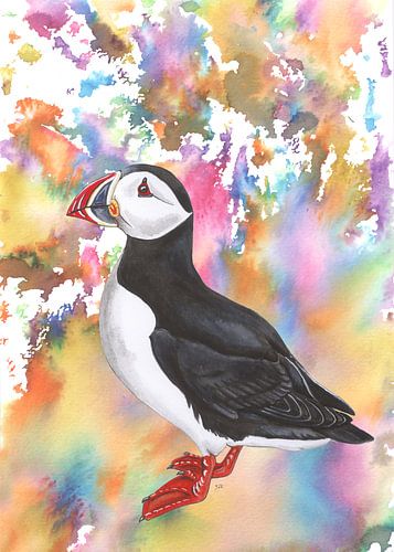 Puffin in colourful surroundings.