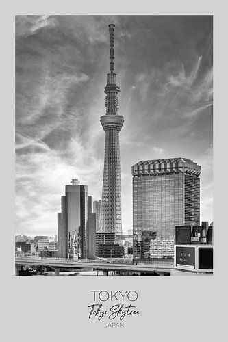Im Fokus: Tokyo Skytree am Sumida River von Melanie Viola