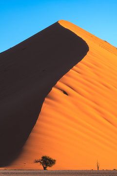 Namibia Dune 45 von Jean Claude Castor