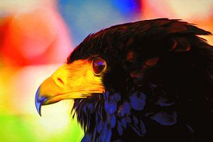Farbenfroher großer Vogel, der Adler