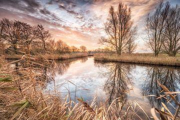 Lever de soleil dans le Westzijderveld sur Adriaan Westra