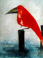 The Red Bird