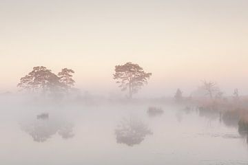 Landschap met mist van Andy Luberti