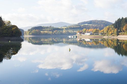 Reflection in Lake Diemel with forest and clouds in Germany