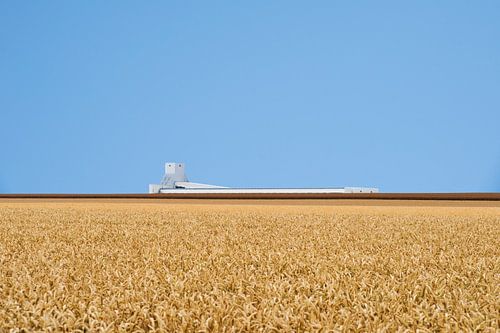 Paysage Culturel #11