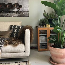 Kundenfoto: Drei Stühle vor der Wand von Manja van der Heijden, als Poster