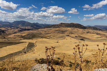Landscape photograph in Andalusian summer. Barren landscape under a blue sky, Andalusia, Spain