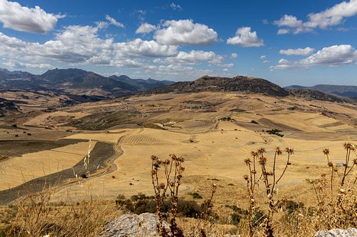 Landschapsfoto in Andalusische zomer. Kaal landschap onder een blauwe hemel, Andalusië, Spanje