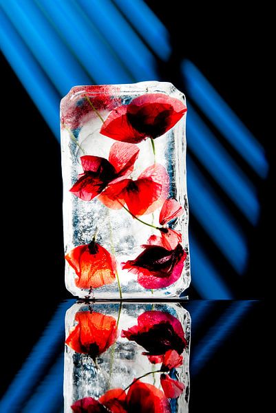 calla lilies in bottle by Gerhard de Wit