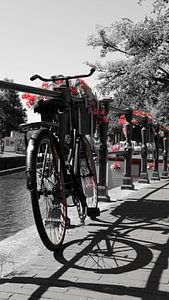 Rotes Amsterdam von Tim Briers