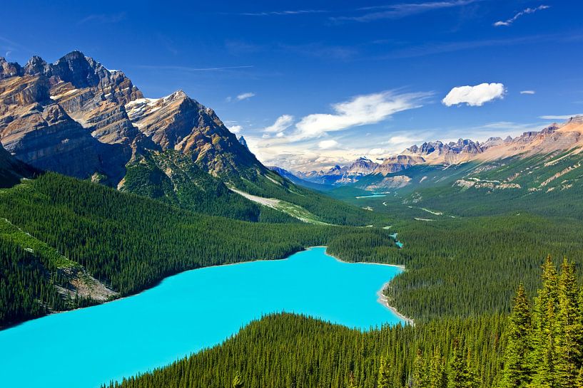 Peyto Lake in Banff N.P., Alberta, Kanada von Henk Meijer Photography
