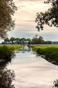 Albasserbos dans l'Alblasserwaard sur Rob van der Teen