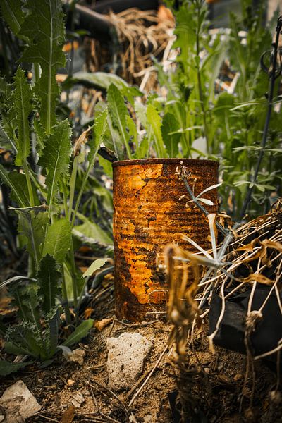 Rust and nature - The rusty tin in the green hiding place by Infinite Decay