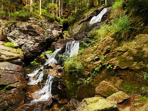 Riesloch Rieslochfälle bei Bodenmais, Bayern 14