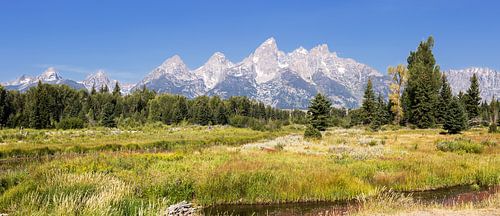 Parc national de Grand Teton, Wyoming, États-Unis