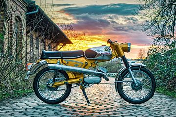 Zündapp C50 Cross von Wilde50er