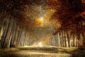 Autumn in the southern Netherlands