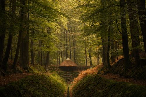 Kroondomeinen: de paraplu spreng in het paleispark