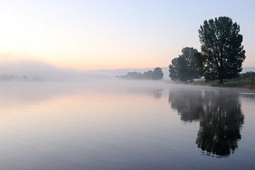 Matinée silencieuse sur la Meuse sur R. Maas