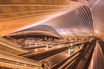 Station Luik by Sjoerd Grassere