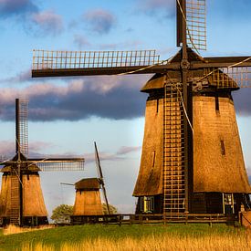 Mills at Schermerhorn by Frans Lemmens