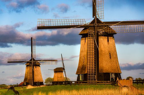 Mills at Schermerhorn by Frans Lemmens