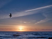 Sea during sunset.