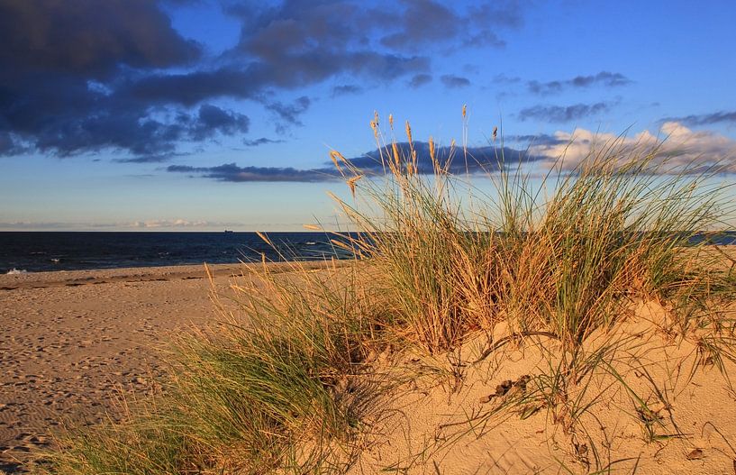 Herbstdünen von Ostsee Bilder