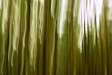 Slingers van licht in het sombere bos van Oliver Lahrem