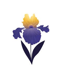 Abstract iris